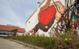 Fedasil Jabbeke Fedasil Jabbeke