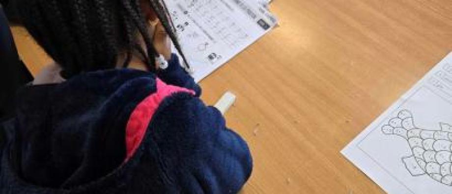 Aide aux devoirs bénévolat Pondrôme Fedasil Beauraing