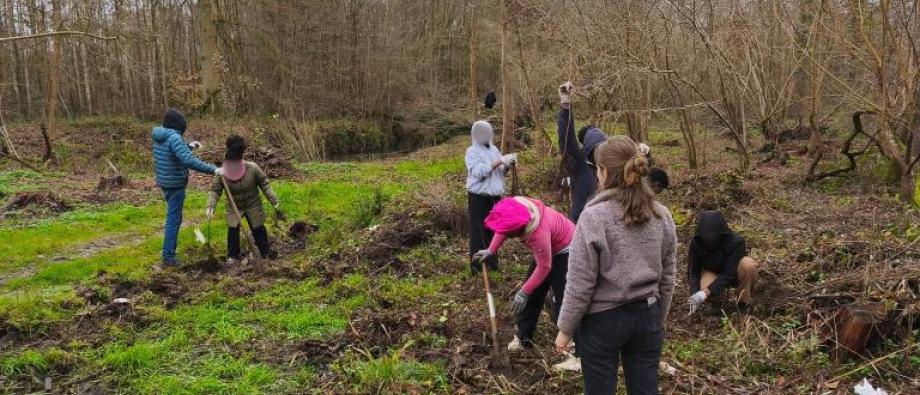 Bomenplanten in Elfenbos Terlanen