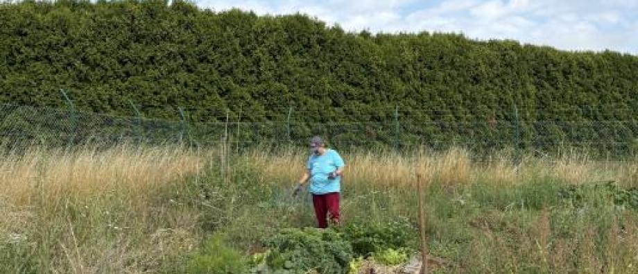 Le Potager de Glons La récolte s'annonce bonne