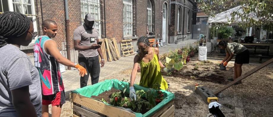Potager