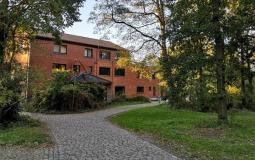 Zonnedauw