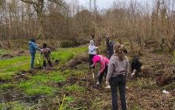 Bomenplanten in Elfenbos Terlanen