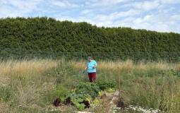 Le Potager de Glons La récolte s'annonce bonne