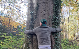 Internationale mannendag